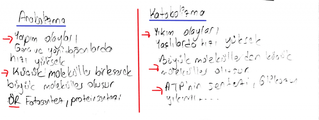 anabolizma katabolizma