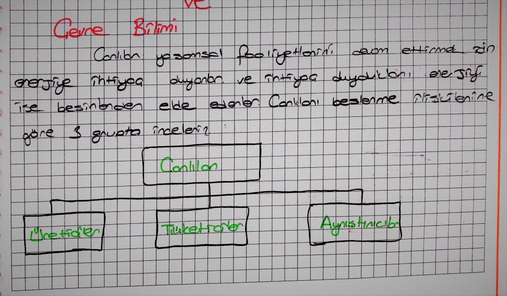 çevre bilimi