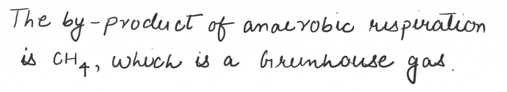 Anaerobic respiration causes