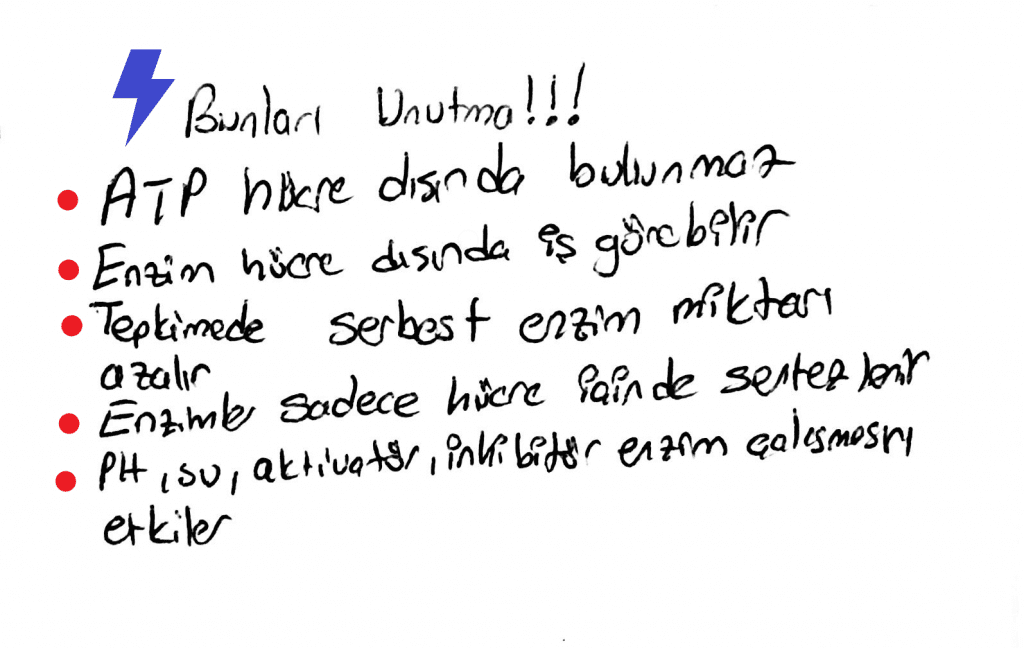 Basit ve Bileşik Enzim, ATP, Anabolizma, Katabolizma... Enzimler Enerji ve Metabolizma hakkında bilmen gerekenler ve soru ipuçları burada!