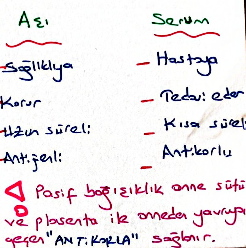 Savunma Sistemleri, Pasif ve Aktif Bağışıklık, Aşı ve Serum... Bağışıklık Sistemi hakkında bilmen gerekenler ve soru çözüm ipuçları burada!