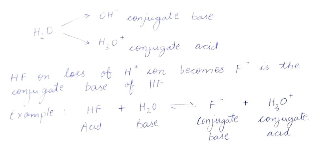 Conjugate base for Bronsted acids H2O and HF are NEET 2019 Solved Question Paper