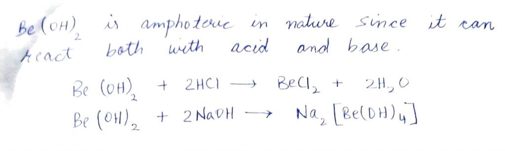 Which of the following is an amphoteric hydroxide NEET 2019 Solved Question Paper