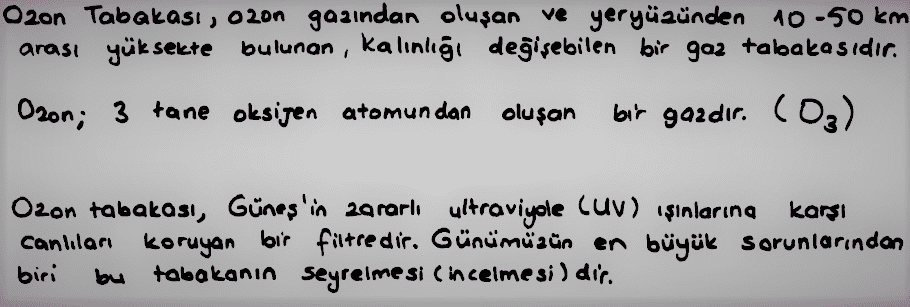 Besin Zinciri, Fotosentez, Solunum, Madde Döngüleri, Ozon... Enerji Dönüşümleri hakkında bilmen gerekenler ve soru çözüm ipuçları burada!