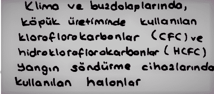 Besin Zinciri, Fotosentez, Solunum, Madde Döngüleri, Ozon... Enerji Dönüşümleri hakkında bilmen gerekenler ve soru çözüm ipuçları burada!