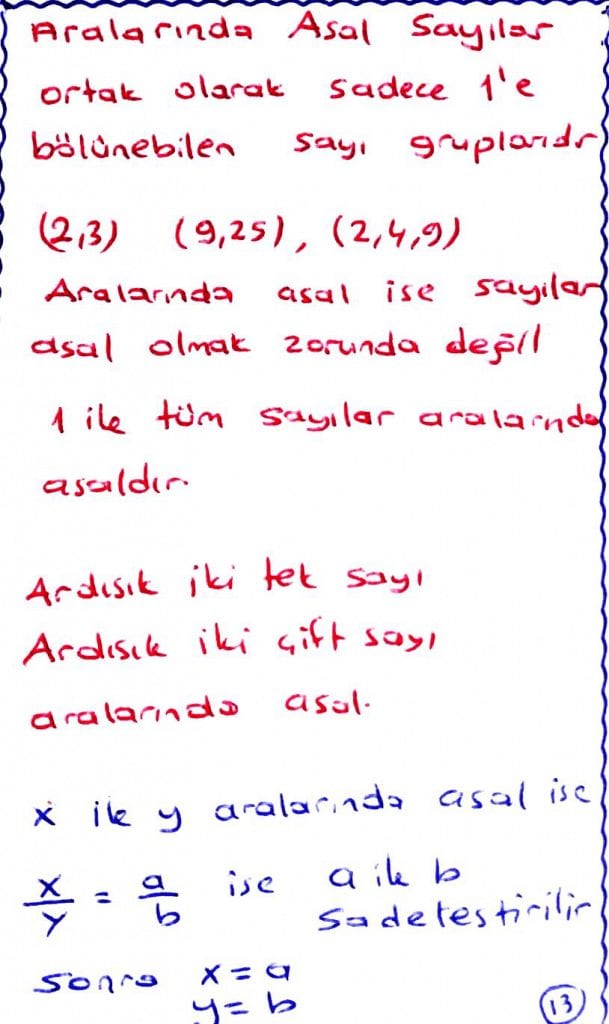 aralarında asal nedir