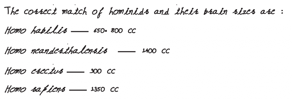 Match the hominids with their correct brain size