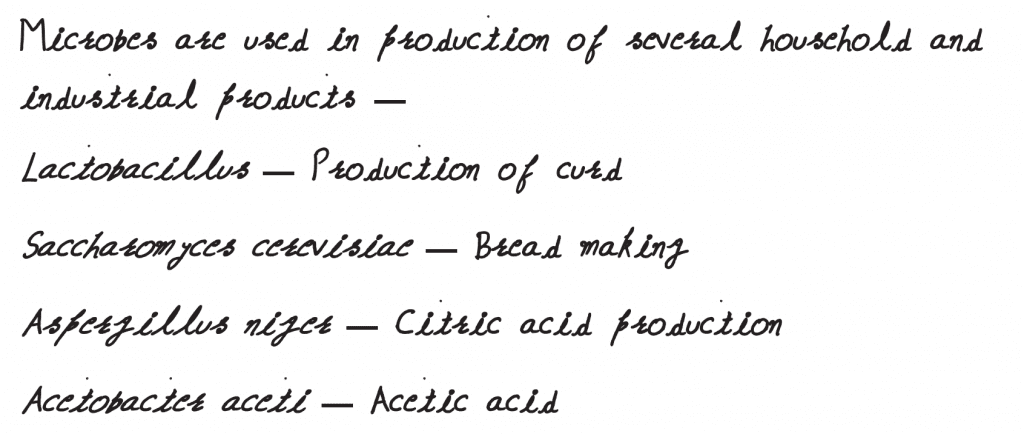 Match the following organisms with the products they produce