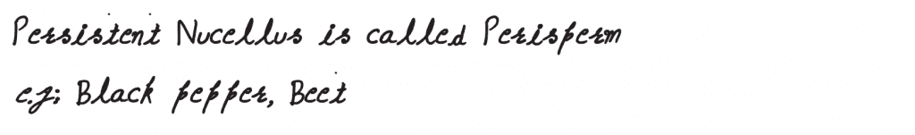 NEET 2019 question paper Persistent nucellus in the seed is known as