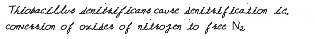 Thiobacillus is a group of bacteria helpful in carrying out