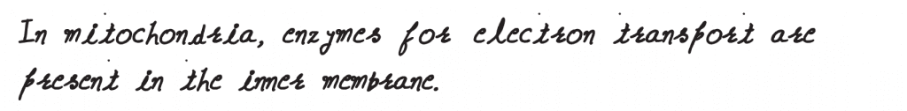 Which of the following statements regarding mitochondria is incorrect