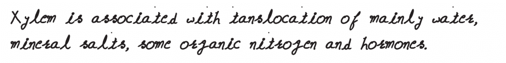 NEET 2019 question paper Xylem translocates