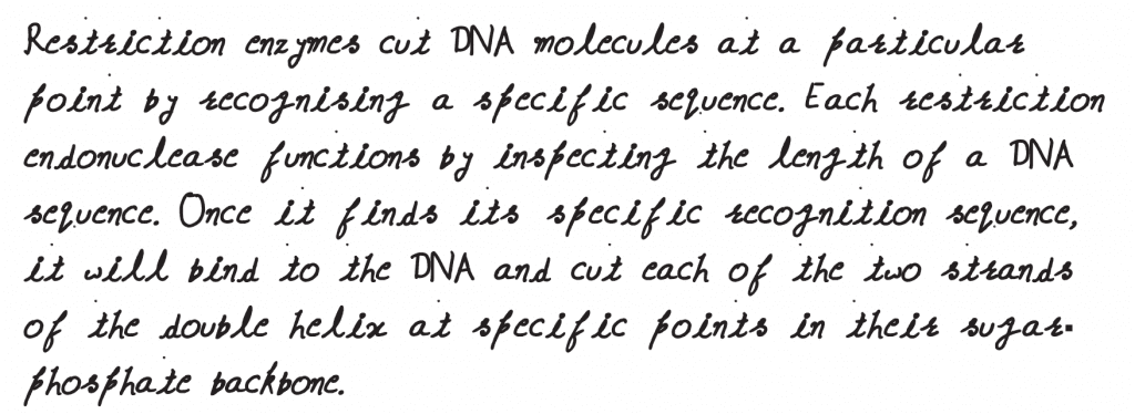 Following statements describe the characteristics of the enzyme Restriction Endonuclease. Identify the incorrect statement