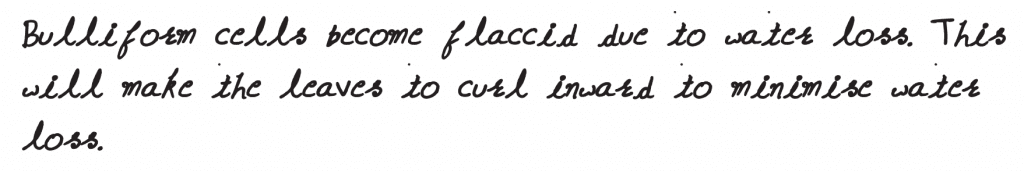 Grass leaves curl inwards during very dry weather. Select the most appropriate reason from the following