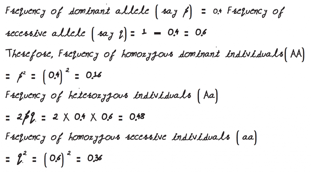 A gene locus has two alleles A, a. If the frequency of dominant allele A is 0.4, then what will be the frequency of homozygous dominant, heterozygous and homozygous recessive individuals in the population
