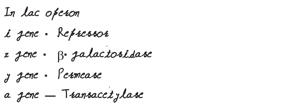 NEET 2019 question paper Match the following genes of the Lac operon with their respective products