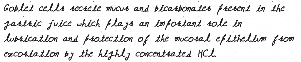 NEET 2019 question paper Identify the cells whose secretion protects the lining of gastro-intestinal tract from various enzymes