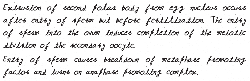 Extrusion of second polar body from egg nucleus occurs